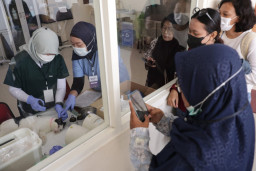 Baca juga : Pemkot Surabaya Sterilisasi 100 Kucing Gratis untuk Tekan Populasi Kucing Liar