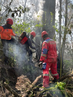 thumbnail Bantu Padamkan Karhutla Bromo, Damkar Surabaya Kerahkan Tim Rescue dan Dua Armada
