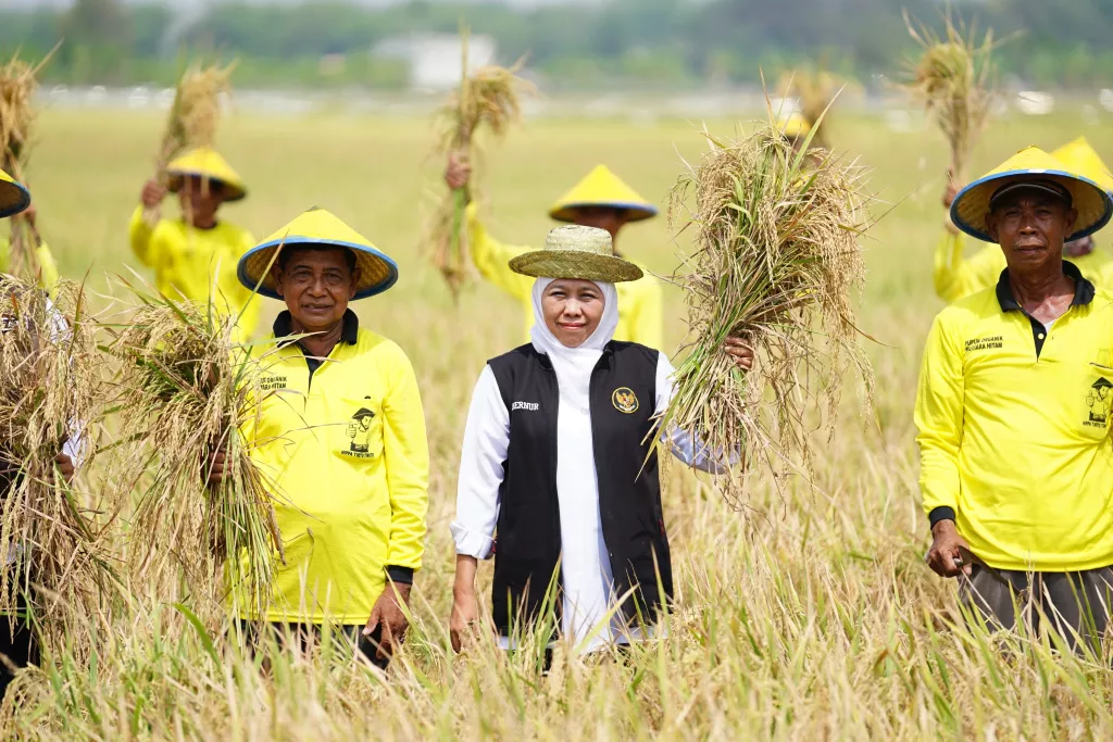 Antisipasi Kemarau 2026, Pemprov Jatim Siapkan Langkah Mitigasi untuk Jaga Ketahanan Pangan dan Stabilitas Produksi