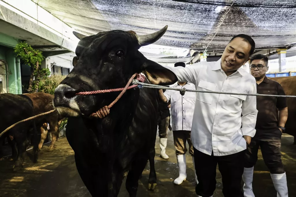 Wali Kota Eri Terbitkan SE Idul Adha 2026, Hewan Kurban Masuk Surabaya Wajib Vaksin PMK dan Kantongi SKKH
