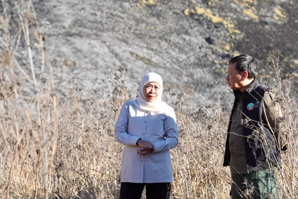 Gubernur Khofifah Tinjau Proses Pemadaman Karhutla Bromo: Pastikan Water Bombing dan Drone Percepat Pemadaman