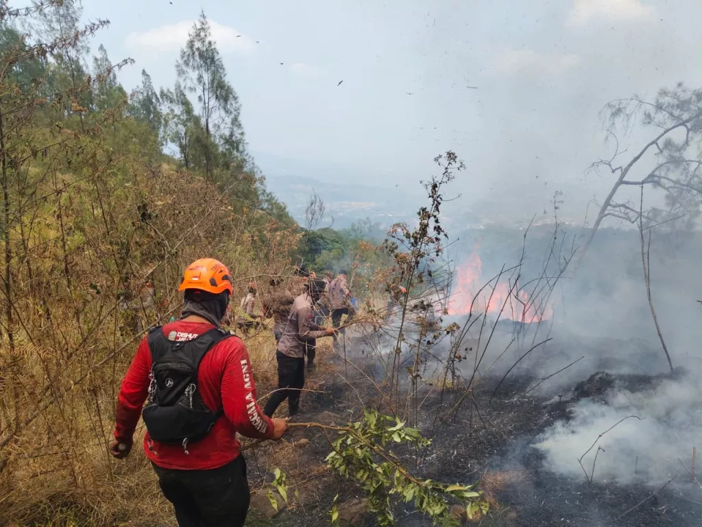 Penanganan Karhutla di Gunung Bromo