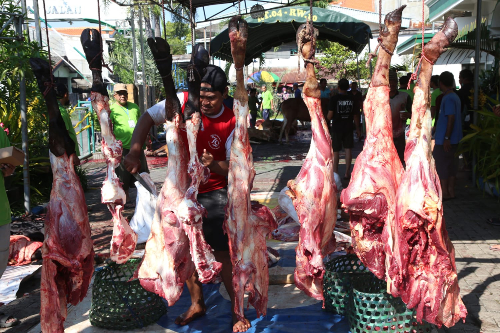 Ilustrasi daging kurban
